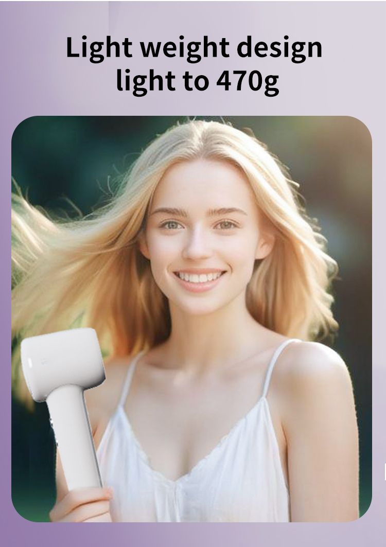 leafless hair dryer.jpg